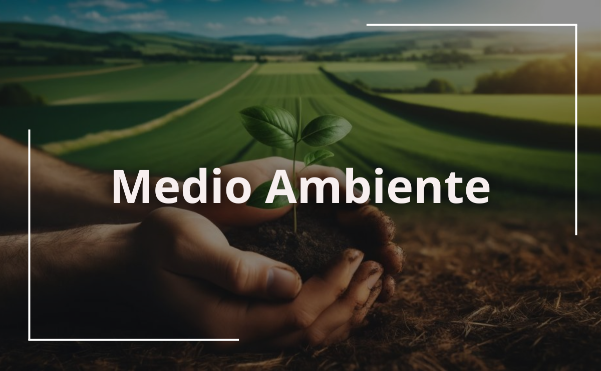 Medio Ambiente